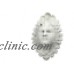 VENETIAN CARNIVALE WALL GREENMAN FEATHERED FACE SCULPTURE Italian Mask Art Gift   162139753497