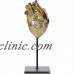 BRASS HEART SCULPTURE - Human Heart Cast In BRASS - Polished   122614062036