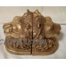 Lion Book Ends gold 5. 1/2 inches tall / 4.1/2 inches width set of 2 (heavy).   263866633057