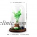 4"X7" DIY Clear Glass Display Dome Cloche Bell Jar With Wooden Base Stand Decor   113056896482