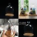 Decorative Glass Dome with Wooden Base - Cloche Bell Jar Display Valentine Gift   332322489798