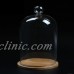 Decorative Glass Dome with Wooden Base - Cloche Bell Jar Display Valentine Gift   332322489798