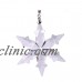 Annual Edition Crystal Glass Star Snowflake Wedding Xmas Home Ornament Lady Gift   372136888940