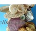 Stunning Sea Shell Wreath 16"- Coastal Home Decor-Beach Decor- Artist Created   173466801010