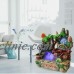 Fountain Ornament Indoor Table Water Wealth & Fortune + Mist Fogger Humidifier   232811548027