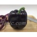 Fake Plastic PURPLE BELL PEPPER Realistic Faux Vegetable Grocery Display Prop   263867860692