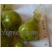 Fake Pears Green Artificial Faux Ornaments Plastic Play Food Lot of Six 6    273407576764