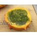 Replica Plastic KIWANO MELON SLICE Realistic Faux Exotic Fruit Display Prop Food   263875691809