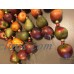 6 Primitive Country Realistic Fruit Garlands 52" Each Apple Pear in Woven Basket   223069477863