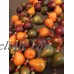 6 Primitive Country Realistic Fruit Garlands 52" Each Apple Pear in Woven Basket   223069477863