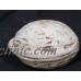 Antique Hand Carved Marble Stone Fruit English Walnut Genuine REALISTC Italy   142895865239