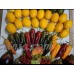 Realistic Plastic Faux Fruit Vegetables Italian Props Decor Lot of 60   323357423445