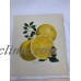 Vintage Pertchick Kitchen Prints Morton Salt Melon Tomato Corn Lemon Set of 4   153064591985