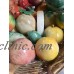 Large Lot: 20 Pieces Stone Fruit   183330135167