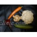 faux plastic veggies vegetables coliflower, carrot, beat, mushroom, cucumber   113183676967