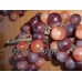 LATEX GRAPE BUNCHES  LARGE  SET OF THREE (3)   SHADES OF PURPLES   372385916038
