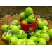 artificial  MINI APPLE faux fruit fake food house kitchen decor teachi props    141838145525