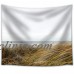 wall26 - Seashore Grass - Fabric Wall Tapestry Home Decor - 68x80 inches   113200589795