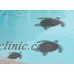 Mosaic Loggerhead Turtles with Shadow for Swimming Pool 9"-22"  FREE SHIPPING   261355155708