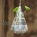Creative Hanging Glass Flower Planter Vase Terrarium Container Home Garden Decor   162135816717