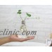 Clear Light Bulb Shape Stand Glass Plant Flower Vase Hydroponic Container Bottle   181931846873