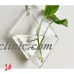 Fish Tank Vase Plant Wall Mounted Hanging Aquarium Transparent glass Home Decor   253668567954