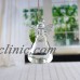 Chic Stand Clear Ball Flower Hanging Vase Plant Terrarium Container Glass Bottle   142898965291