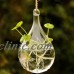 Clear Flower Hanging Vase Planter Terrarium Container Glass Home Garden Decor   232012321782