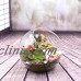 Globe Glass Ball Planter Vase Flower Plant Pot Terrarium Container Tabletop TOOP   132705222044