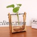 New Vintage Style Glass Tabletop Plant Bonsai Flower Vase Wooden Tray Home Decor   122848499371