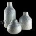 Ceramic Grey/White Hampton/s Beach/Coastal/Sea Barnacle Decorative Vase/Vases   332726760450