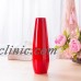 Ceramic Porcelain Decorative Vases Red Colors High Quality Modern Desktop Decors   302766998682
