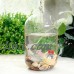 Various Glass Hanging Flower Vase Fish Tank Planter Fishbowl Garden Decor   131919612940