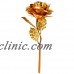24k Gold Plated Rose Flowers Anniversary Mothers Day Girlfriend Gift Gold Color    112956293392