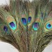 10Pcs Natural Peacock Tail Feathers Wedding Home Decor Floral Craft DIY Random   362176704133