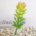 Artificial Succulents Plastic Plant Fake Cactus Floral Garden Home Office Decor   152945466120