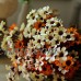 28Head Artificial Silk Simulation Fake Daisy Flower Chrysanthemum Wedding Bush A   232421993577