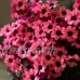 28Head Artificial Silk Simulation Fake Daisy Flower Chrysanthemum Wedding Bush A   232421993577