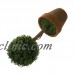 Plastic Garden Grass Ball Topiary Tree Pot Dried Plant for Wedding Party De I5Z3 190268187824  113201145984