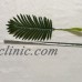 10pcs Big Palm Leaves Plastic Fake Plant Artificial Leaf Home Office Decor Hot   142805570093