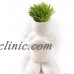 DIY Mini Novel Ceramic Porcelain Bonsai Grass Doll Hair Man Plant White HI   153073338213