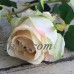 Artificial Bulgaria Roses 1 Branch (2 Heads) 67cm Pink White Blue Light Blue   192627900363