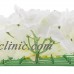 Artificial Silk Flower Wall Hedge Decorative Hydrangea Studio Photo Backdrops   263478583837