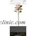 Cb2 Protea Faux Flower Stem   283104715309
