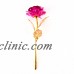 24K Dipped Gold Foil Flower Rose Birthday Mother Day Gift Floral Decor With Box   222977954501