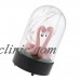 Flamingo Night Light Starry Lights Glass Dome Lamp For Home Wedding Party   302796947566