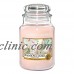 Buy 1 Get 1 25% OFF Yankee Jar Candle 22oz Many Varieties    322924419605
