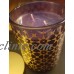 DW HOME 2 WICK SCENTED DESIGNER CANDLE EASTERN OASIS "TAHITIAN SUNSET" 15.01 Oz   283104708517