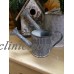 PAIR of Galvanized Watering Cans Rustic Planters Vase Basket Primitive Country    173131003381