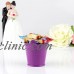 12×Pastoral Style Candy Box  Mini Tin Bucket Floor Hanging Flower Pot Plant Deco   392080919041